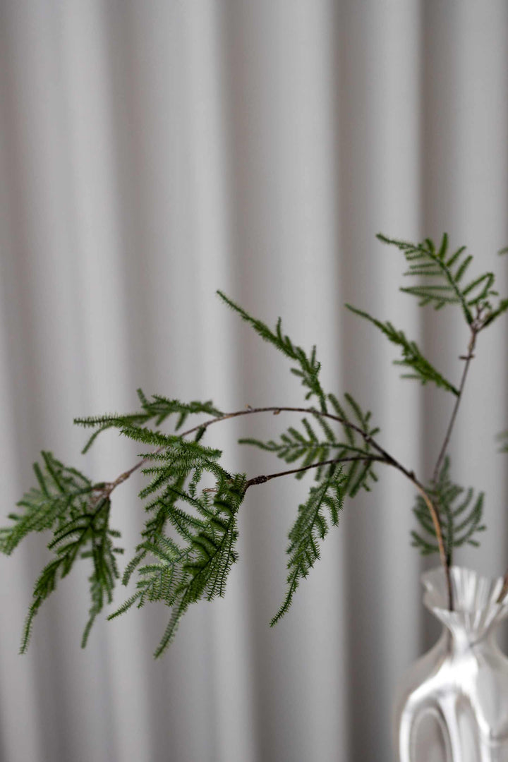 Bloom Objects - Artificial Lifelike Asparagus - Dark Green - 02-431 Dark Green 